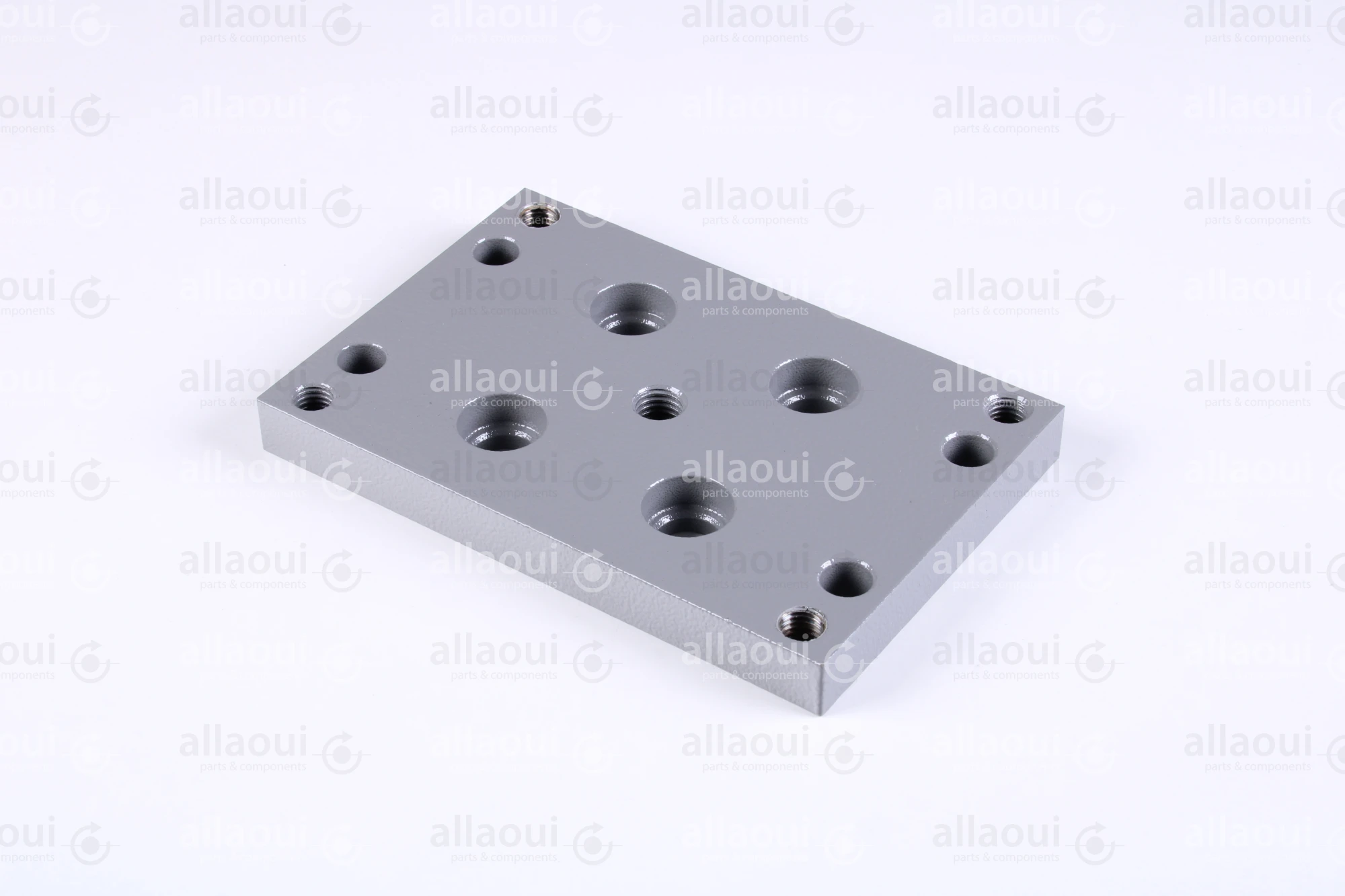 Polar Holder 282307 Polar Holder 282307