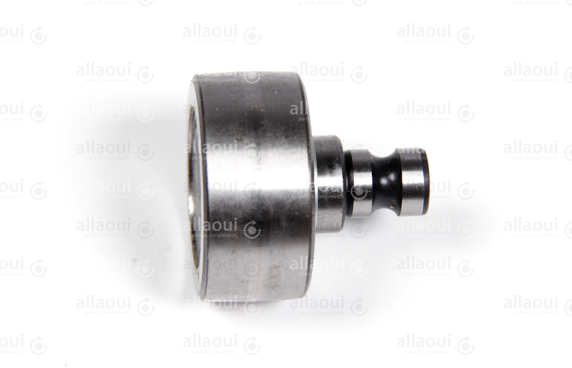 INA Tension Pulley F-231417.04.BSR INA Tension Pulley F-231417.04.BSR