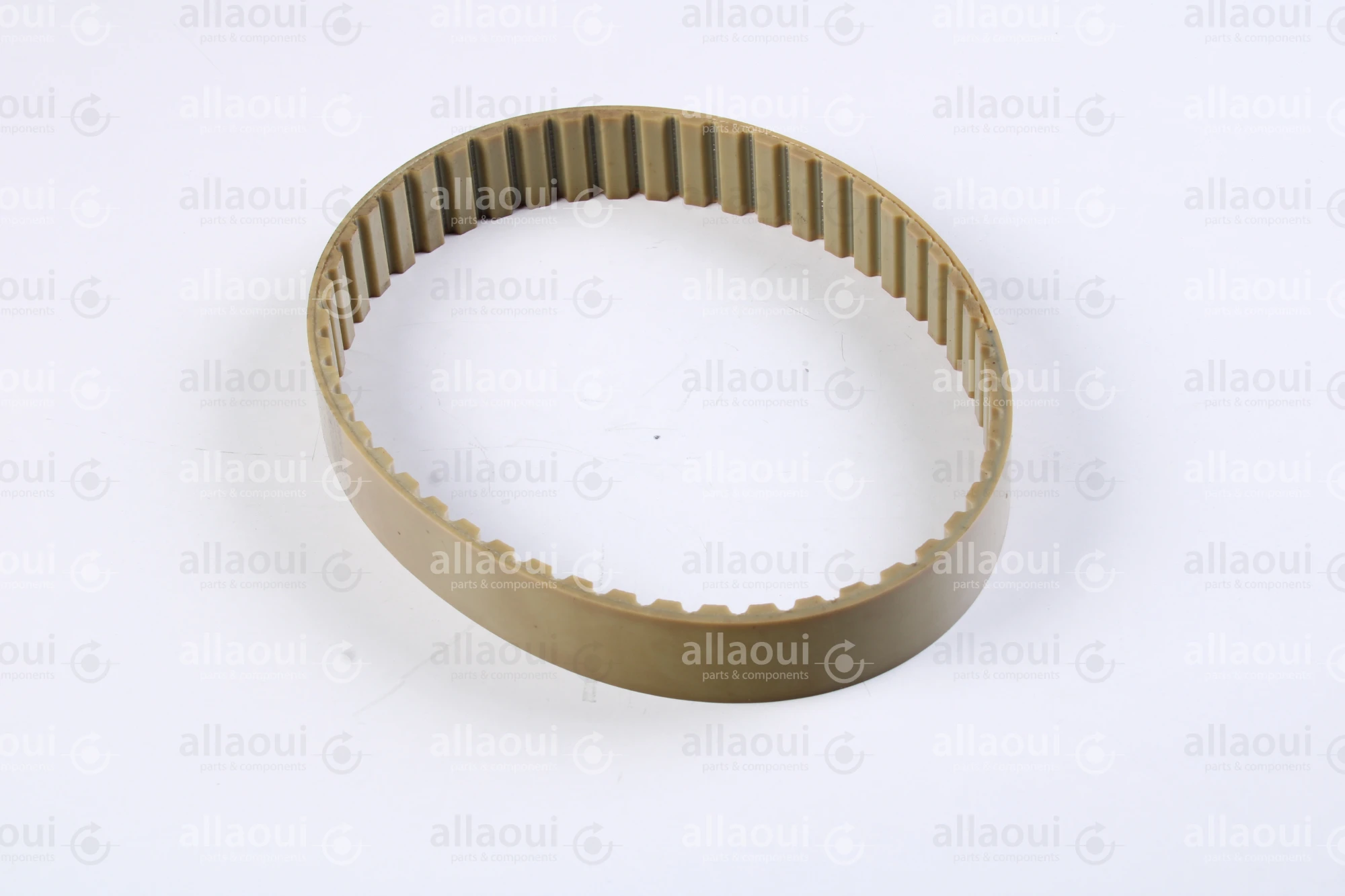 Müller Martini Timing Belt 3646.1267.4 Müller Martini Timing Belt 3646.1267.4