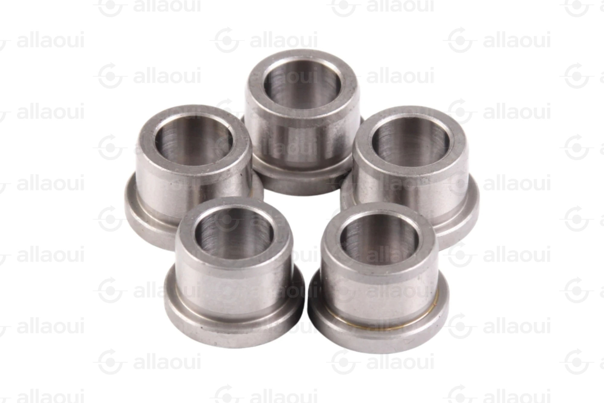 Ludwig Meister DIN 172 Guide Bushings (5 Pieces) 480-DIN172-B10-12-A