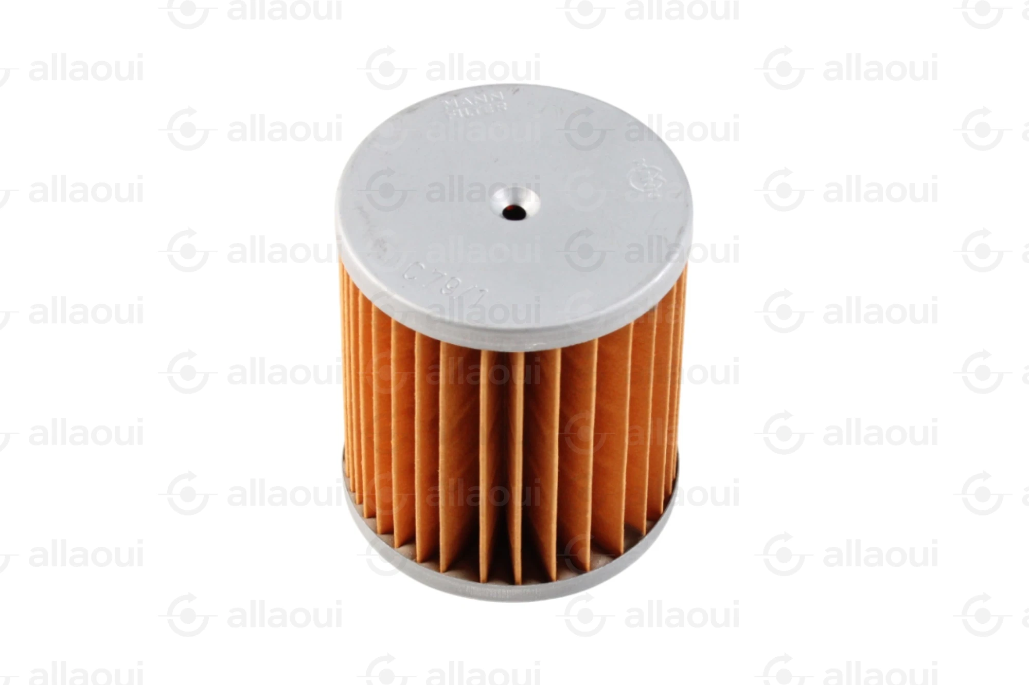 Mann Filter Air filter C79/1