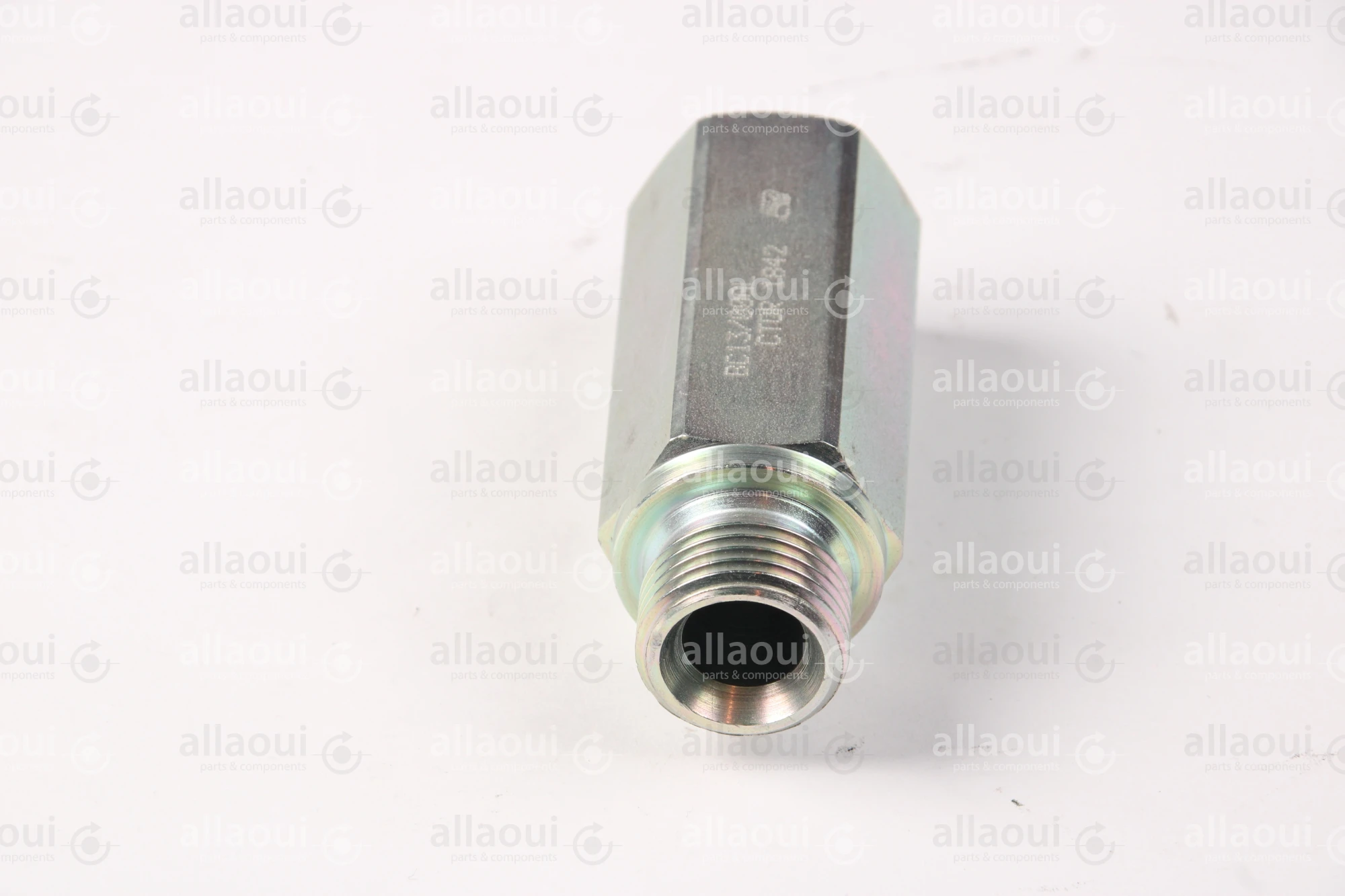 Contiweb Load Holding Valve WH090453655 Contiweb Load Holding Valve WH090453655