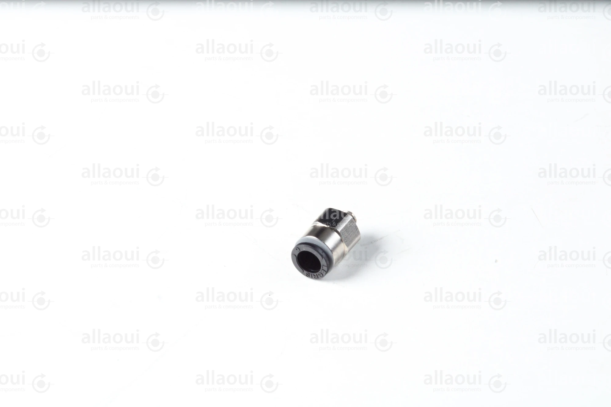 Legris Thread Adapter 3101 06 19 Legris Thread Adapter 3101 06 19