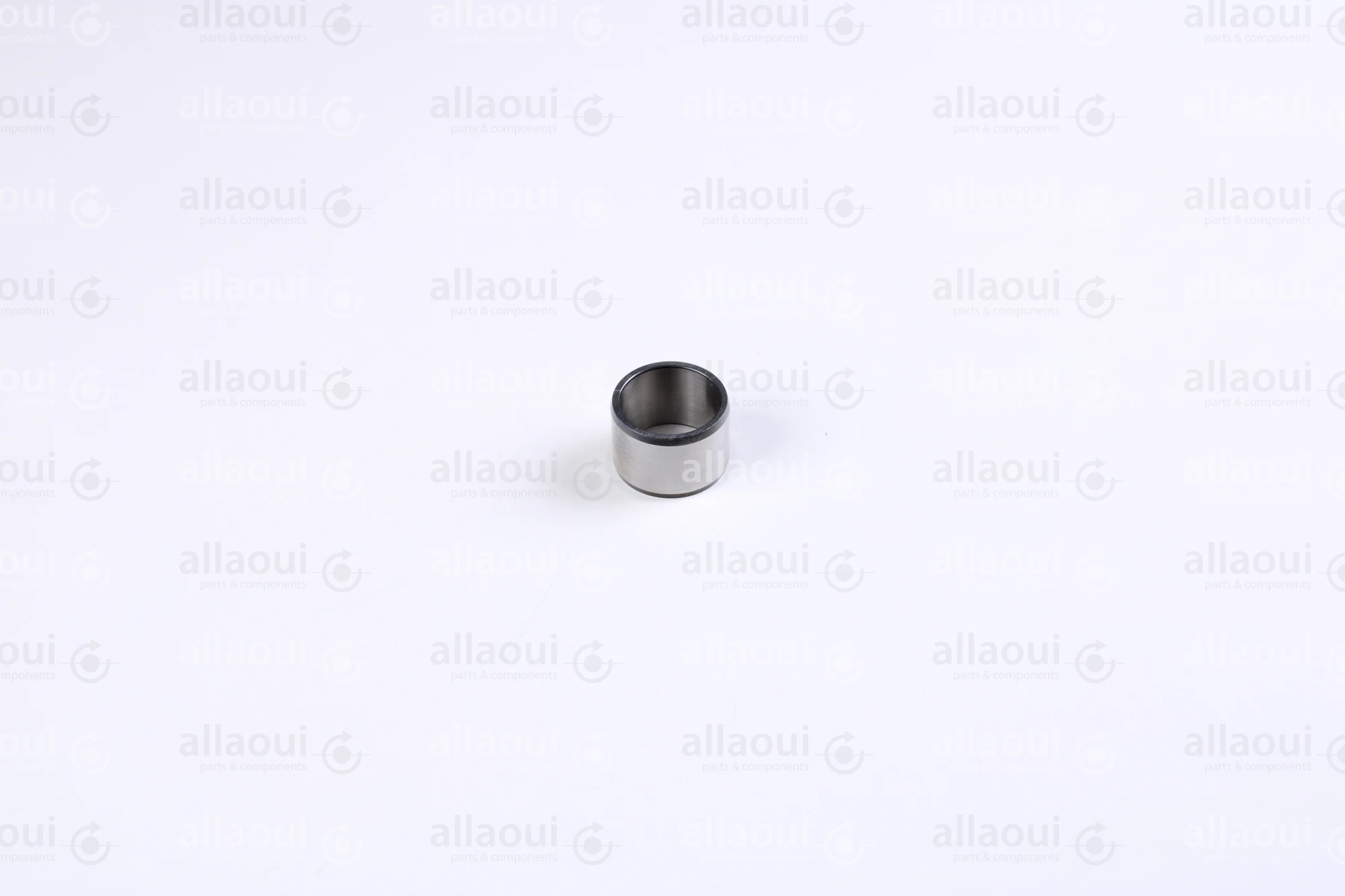 INA Inner Ring 000021628-0000