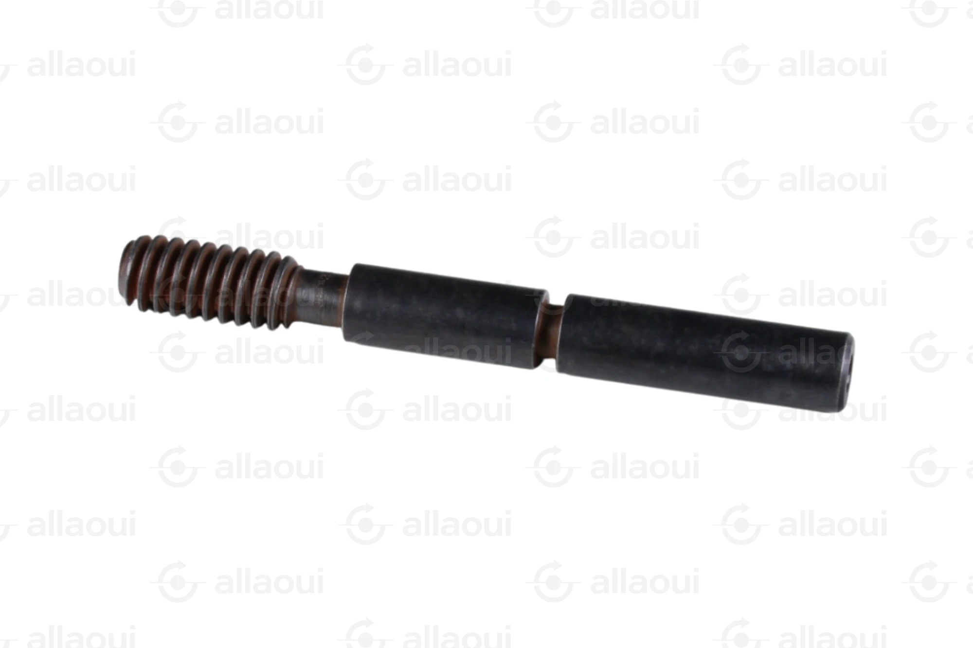 Manroland Worm 8008F302351