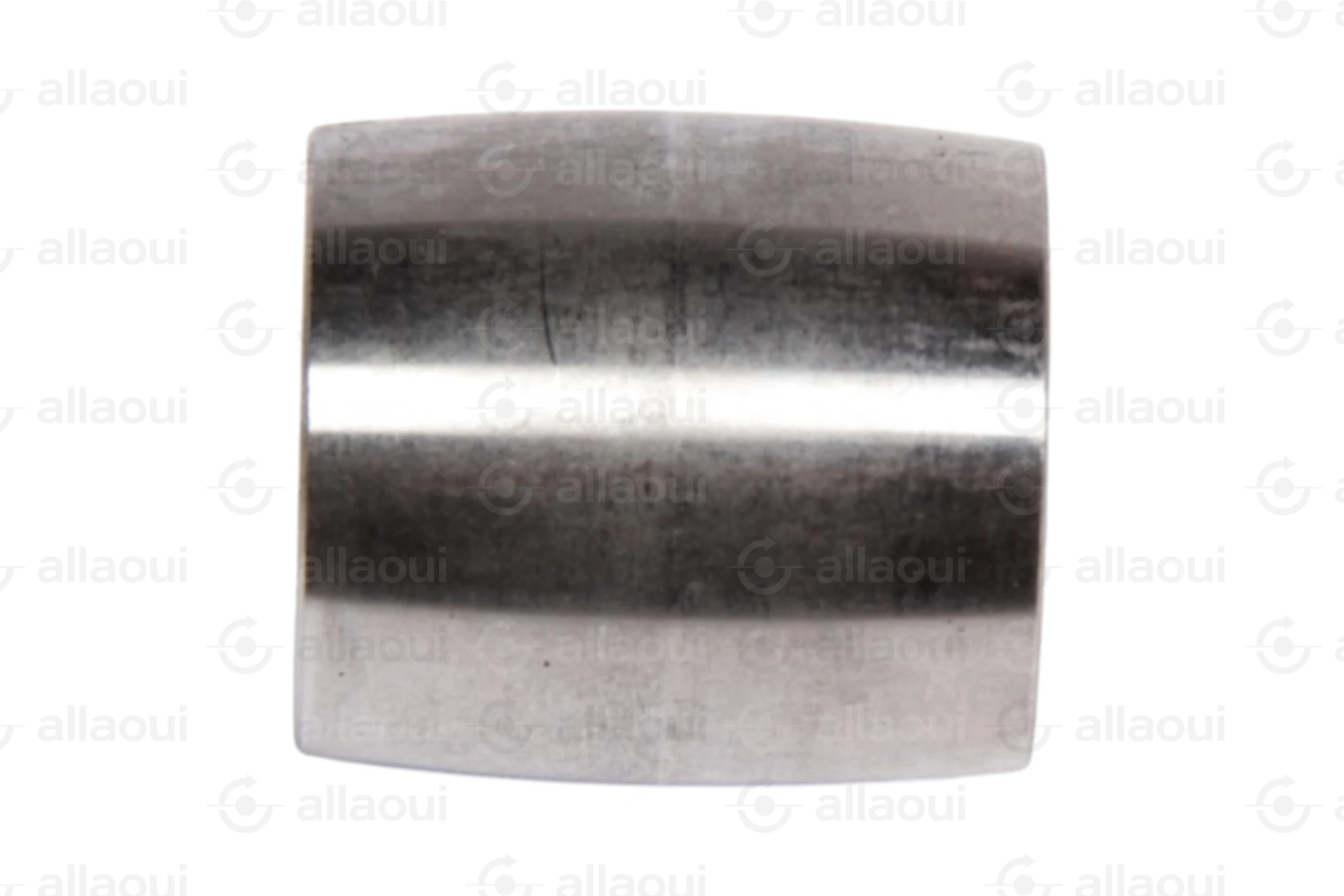 Manroland Pulley 16.31273-0017