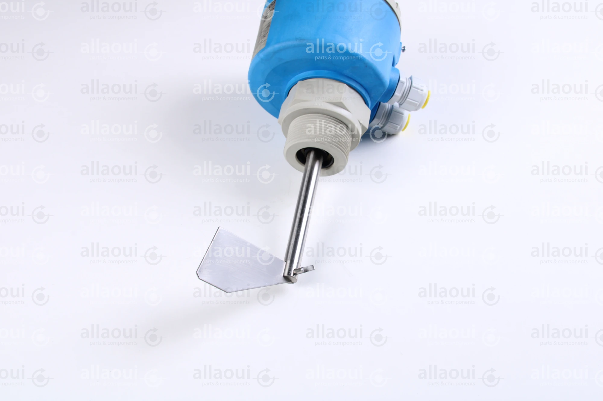 Endress-Hauser Point level switch Soliswitch FTE30 Endress-Hauser Point level switch Soliswitch FTE30