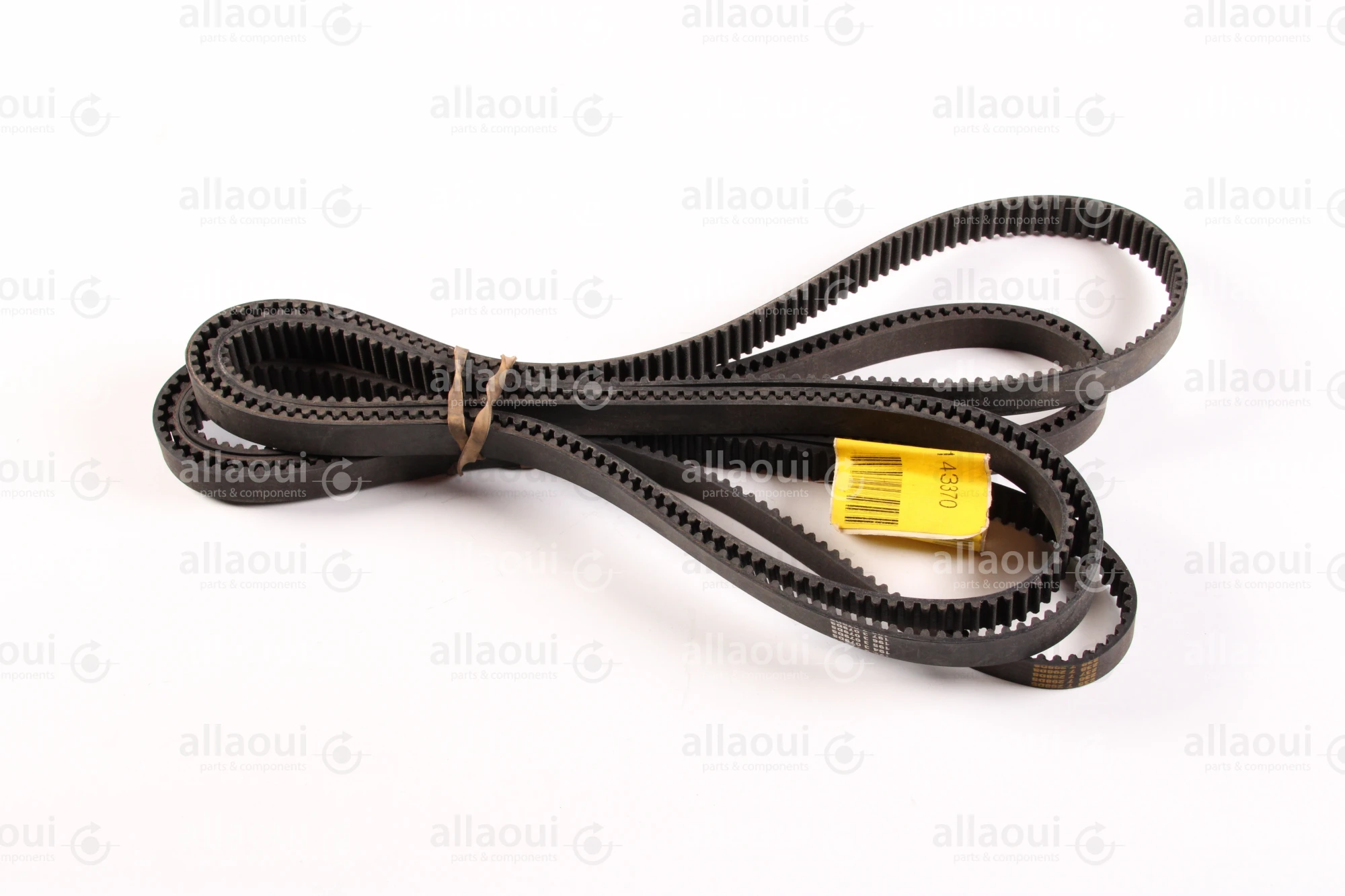 Horizon Toothed Belt 9400-55204 Horizon Toothed Belt 9400-55204