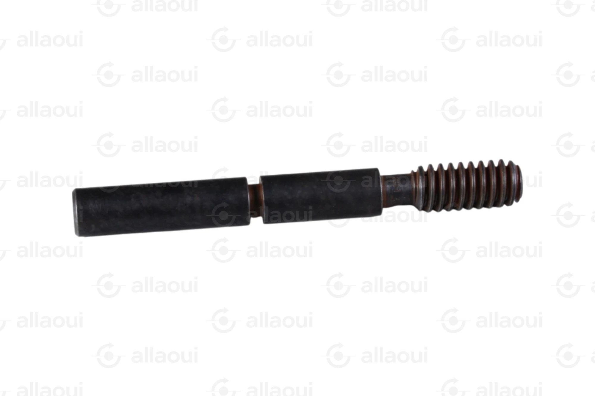 Manroland Worm 8008F302351