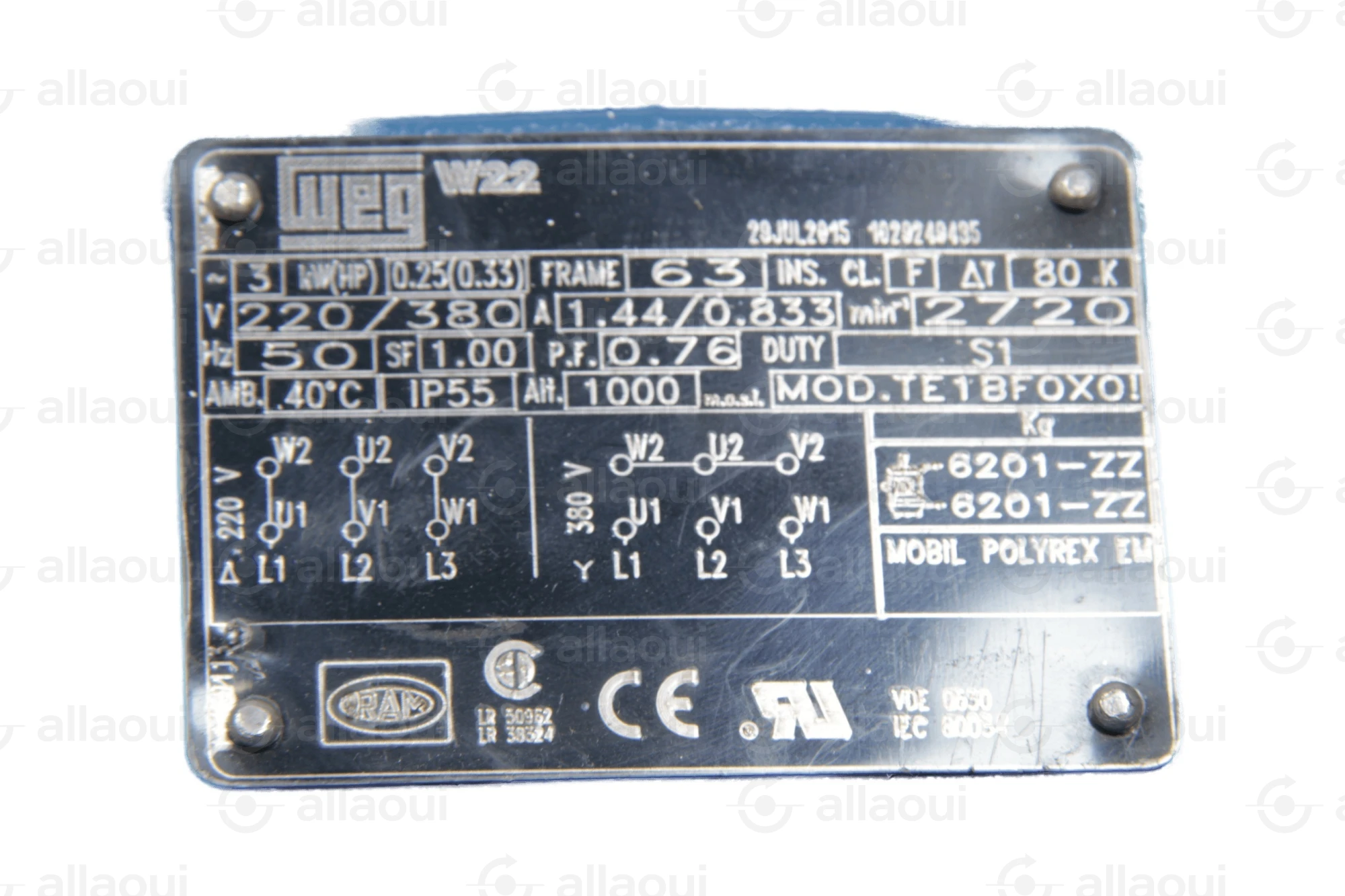 Weg Motor W22 Weg Motor W22