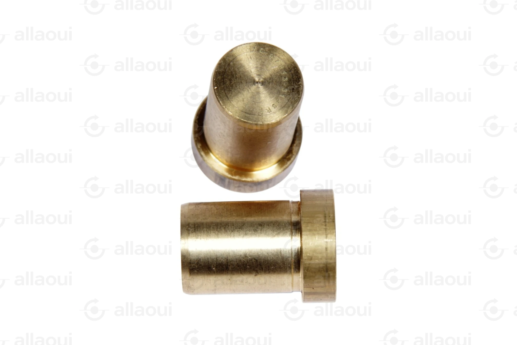 Manroland 007G315613 007G315613