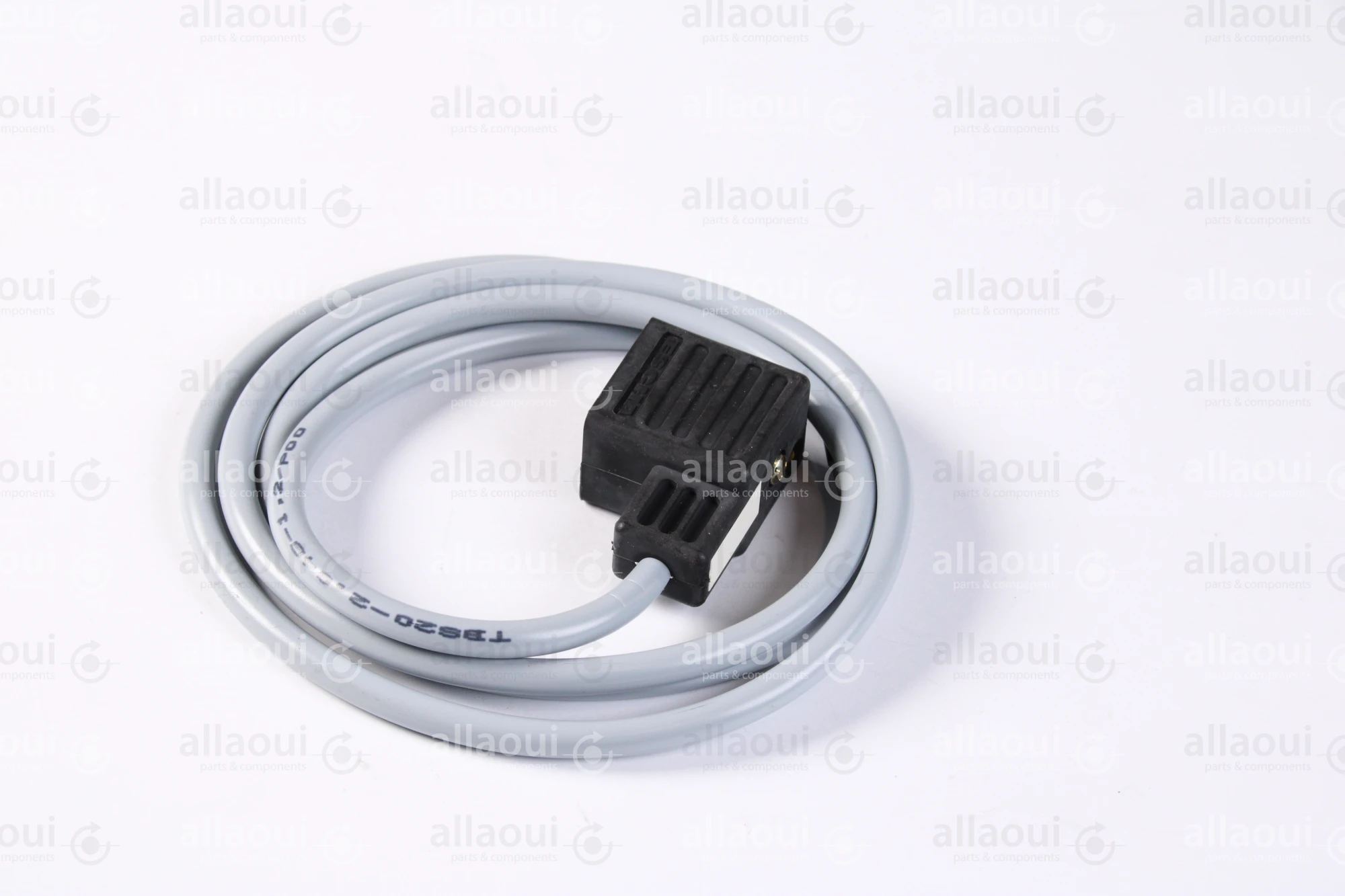 Escha 2-Pole Magnet Connector with Cable TBS20-2.048-1,2/P00 Escha 2-Pole Magnet Connector with Cable TBS20-2.048-1,2/P00
