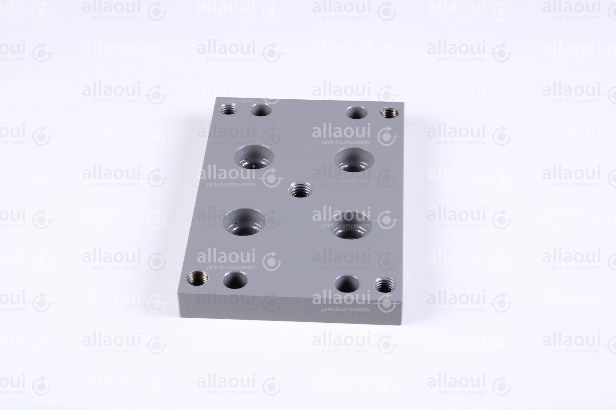 Polar Holder 282307 Polar Holder 282307