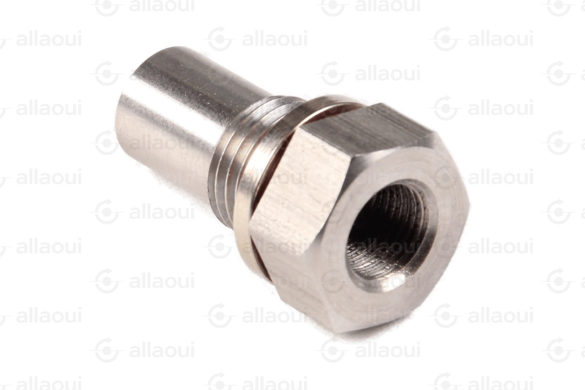 Planatol Check Valve 109027 Planatol Check Valve 109027