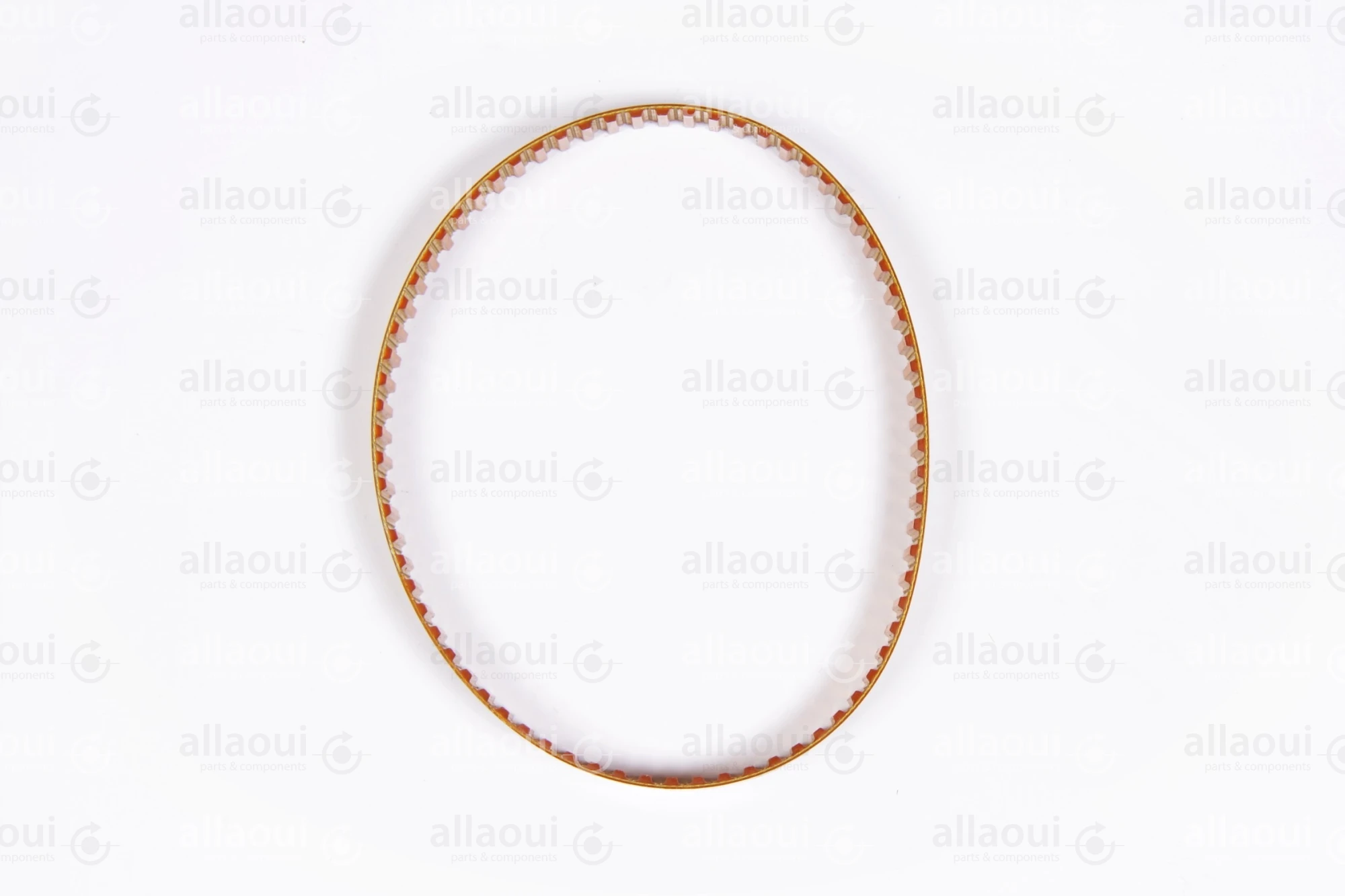 Müller Martini Toothed Belt 3738.1234.4 Müller Martini Toothed Belt 3738.1234.4