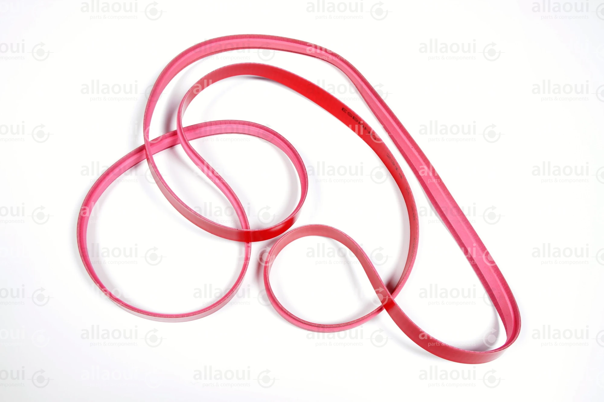 MBO Transport Belt 10.6400.0349 MBO Transport Belt 10.6400.0349