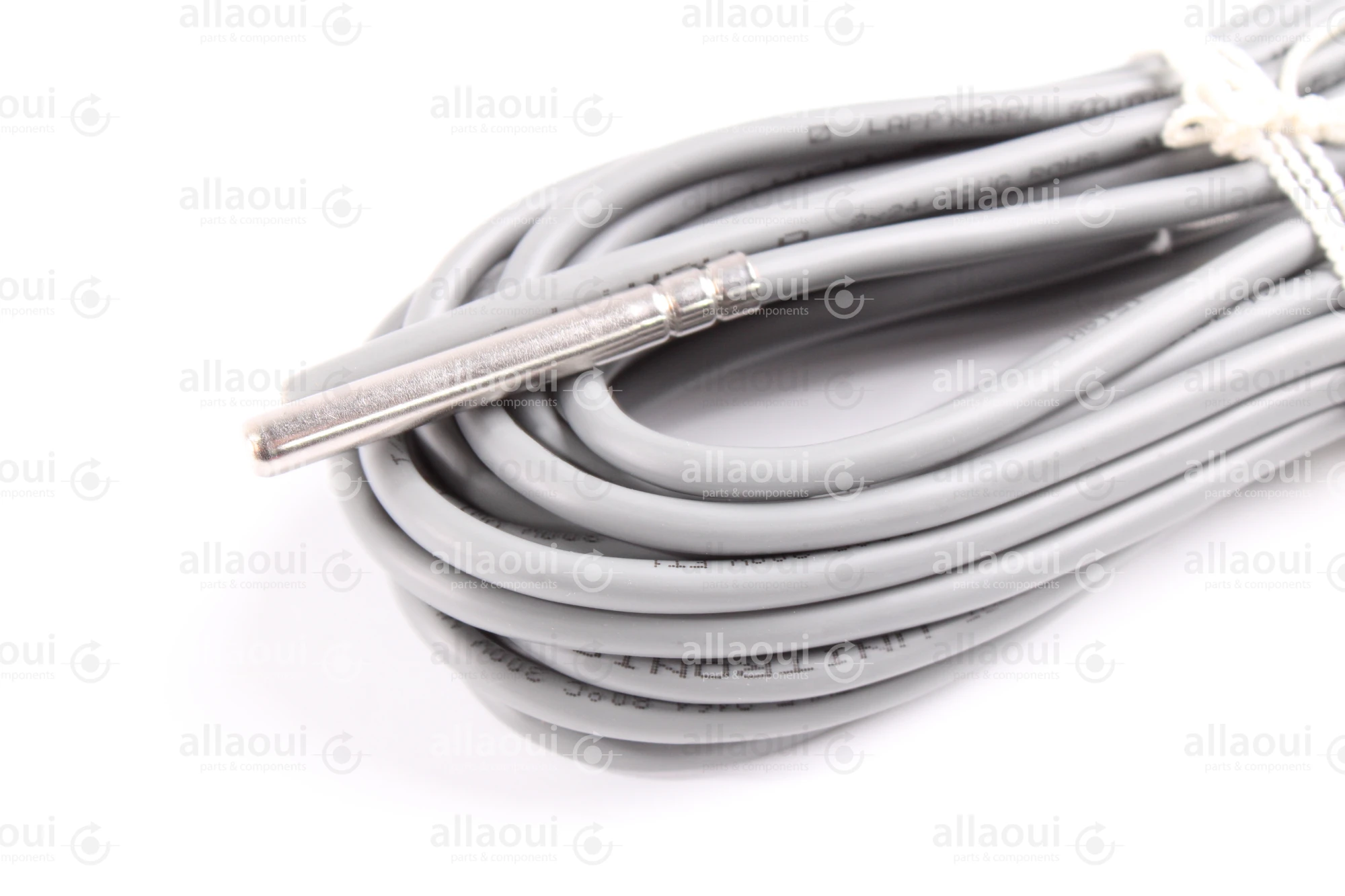 Technotrans Temperature Sensor 065066137 Technotrans Temperature Sensor 065066137