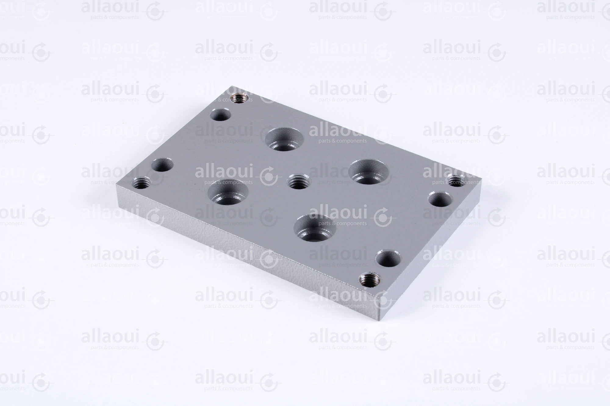Polar Holder 282307 Polar Holder 282307