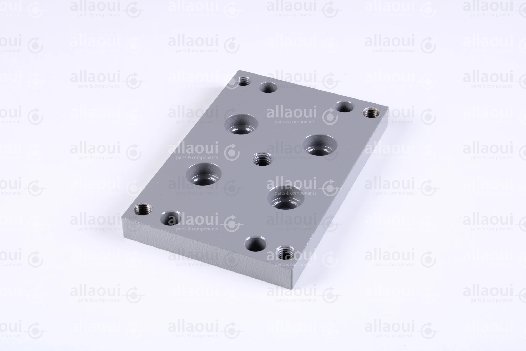 Polar Holder 282307 Polar Holder 282307