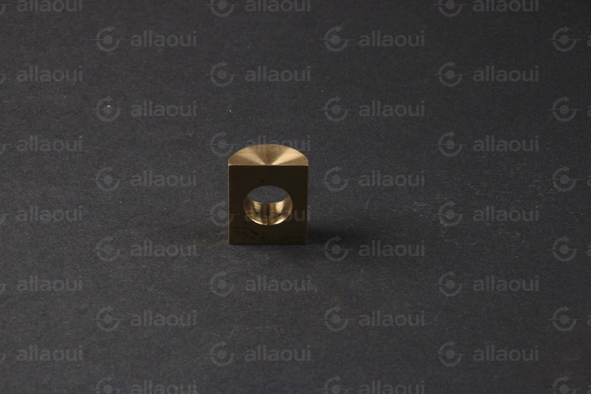 Manroland Segment 16.31440-0004 Manroland Segment 16.31440-0004