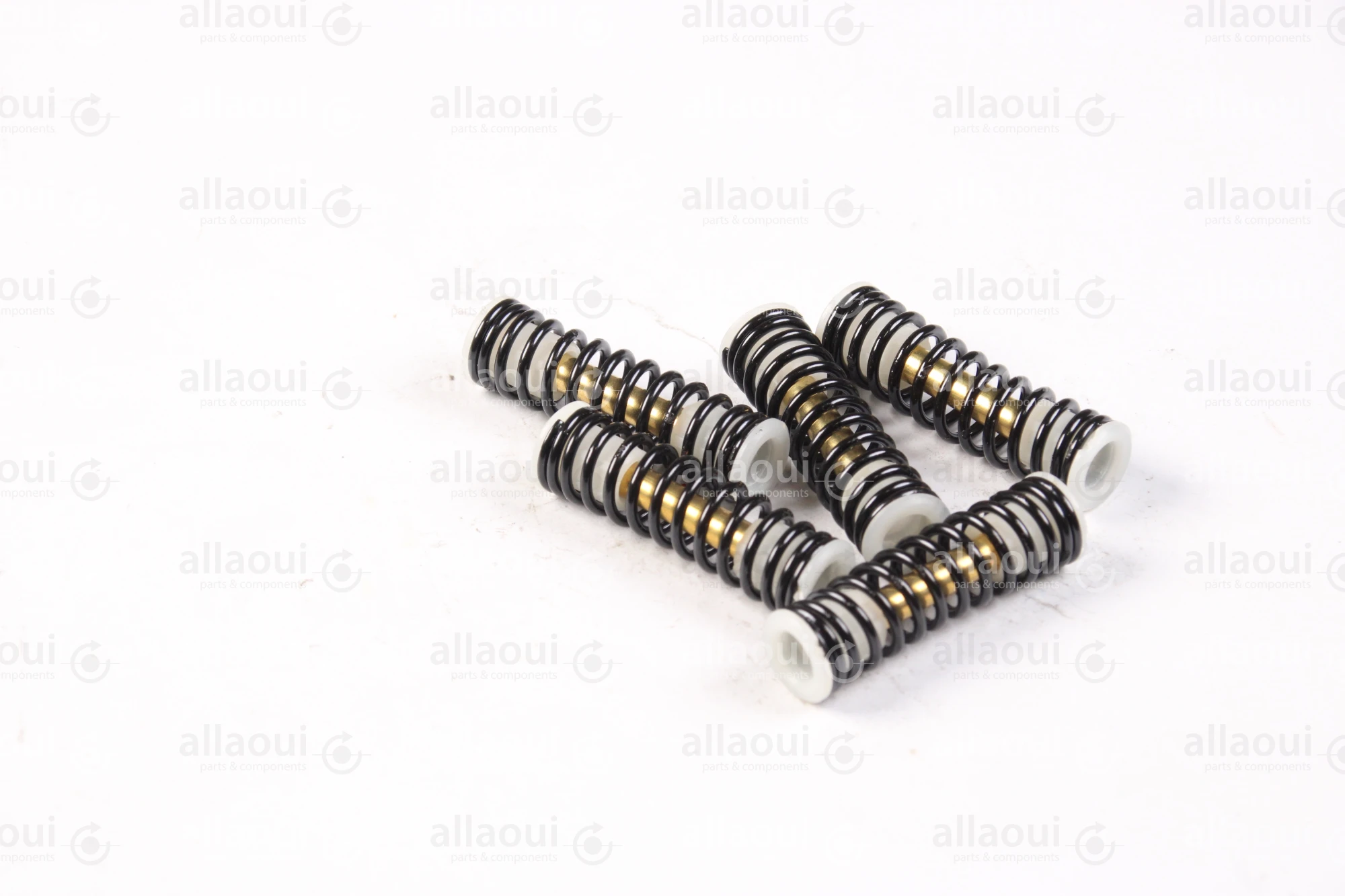 Technotrans Spring TTS-Paint Valve (5 Pieces) 0011205 Technotrans Spring TTS-Paint Valve (5 Pieces) 0011205