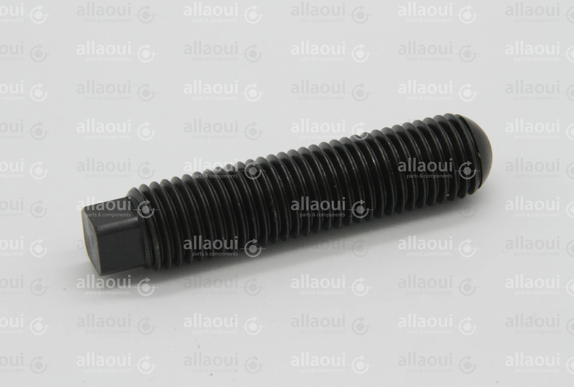 Müller Martini Screw M20X95 0360.1001.4