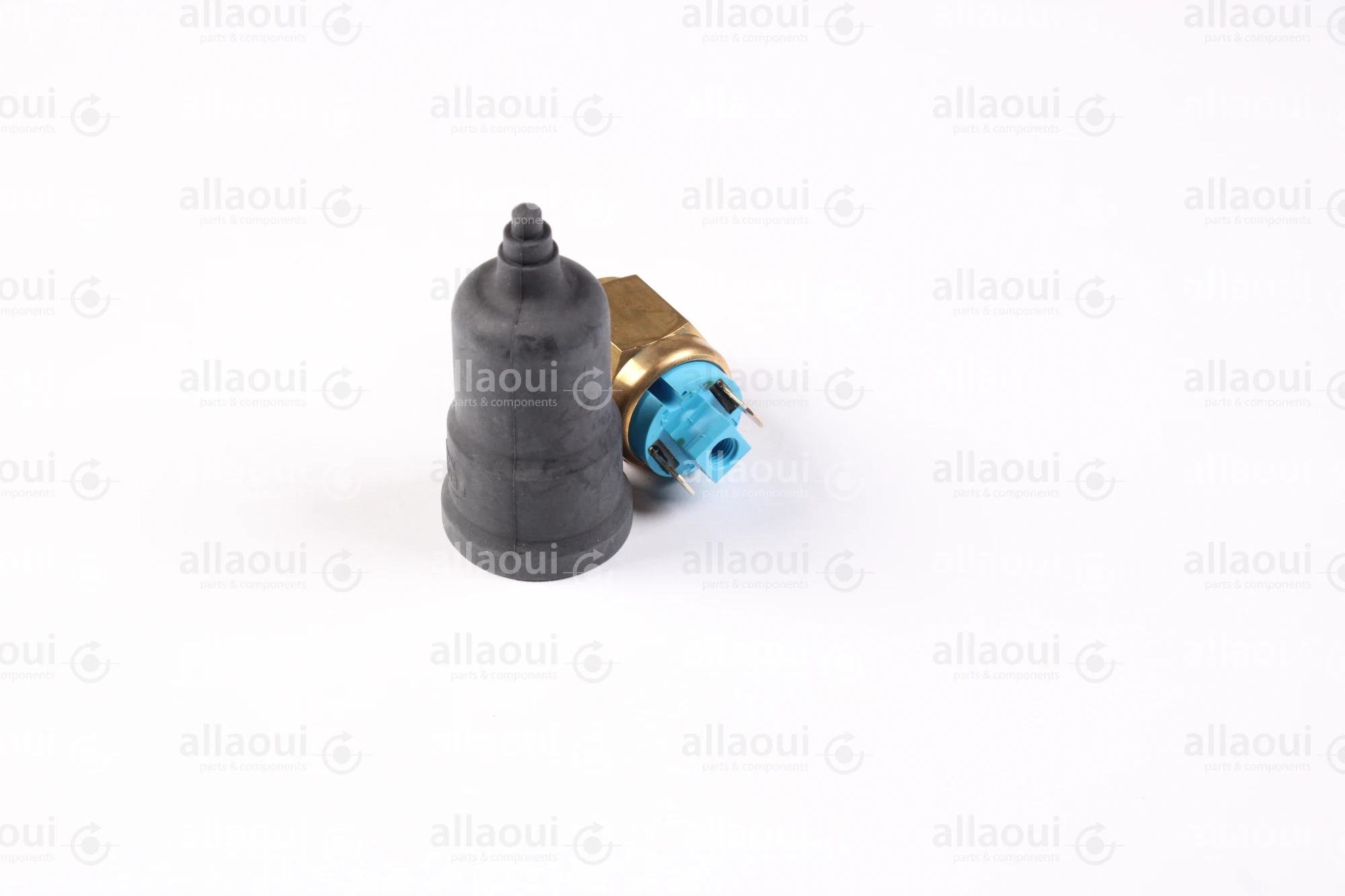 Elettra Pressure Switch 2000981-00 Elettra Pressure Switch 2000981-00