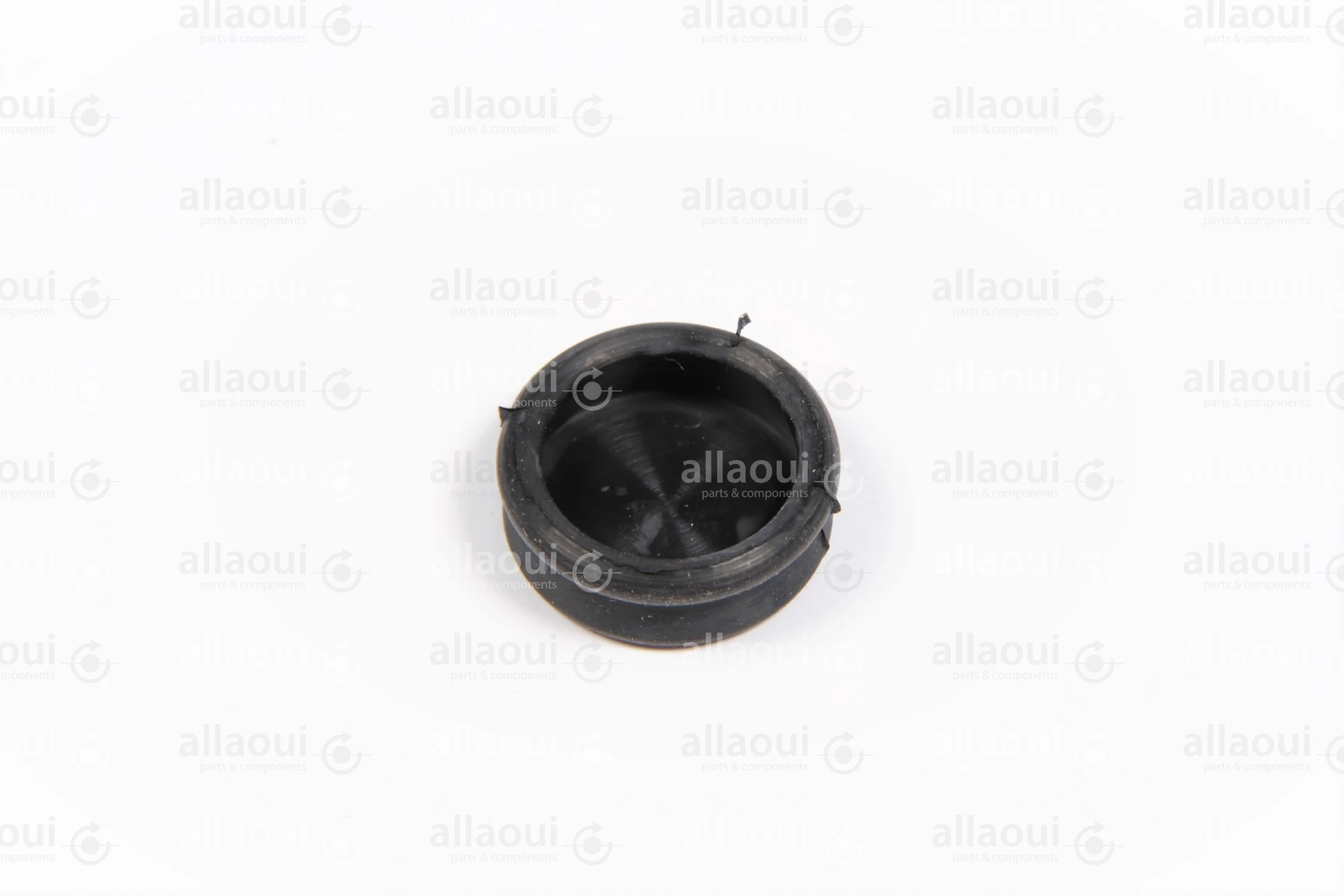 Manroland Sauger 80.21F30-0473 Manroland Sauger 80.21F30-0473